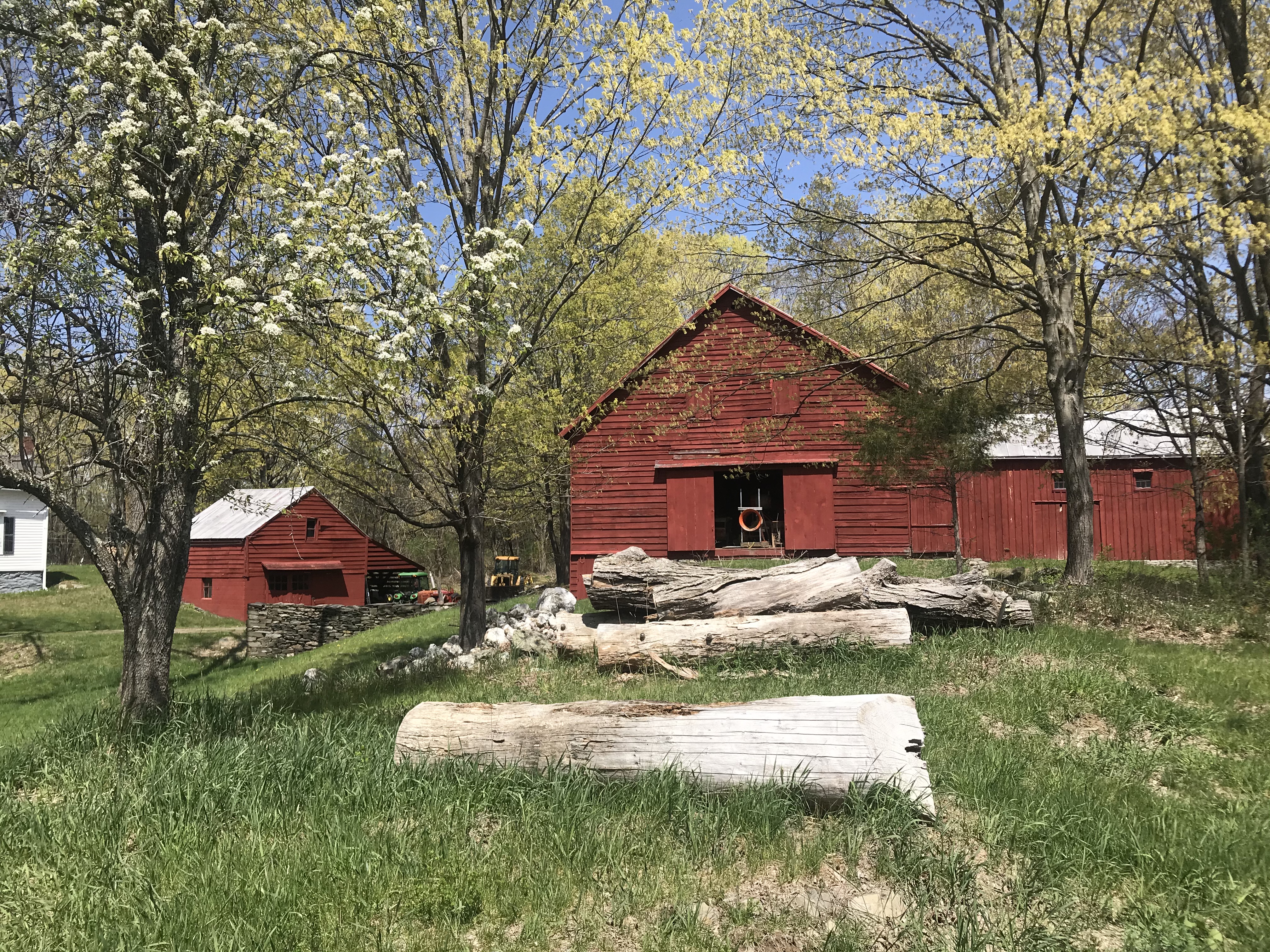 Schooley Head for Web Email 3