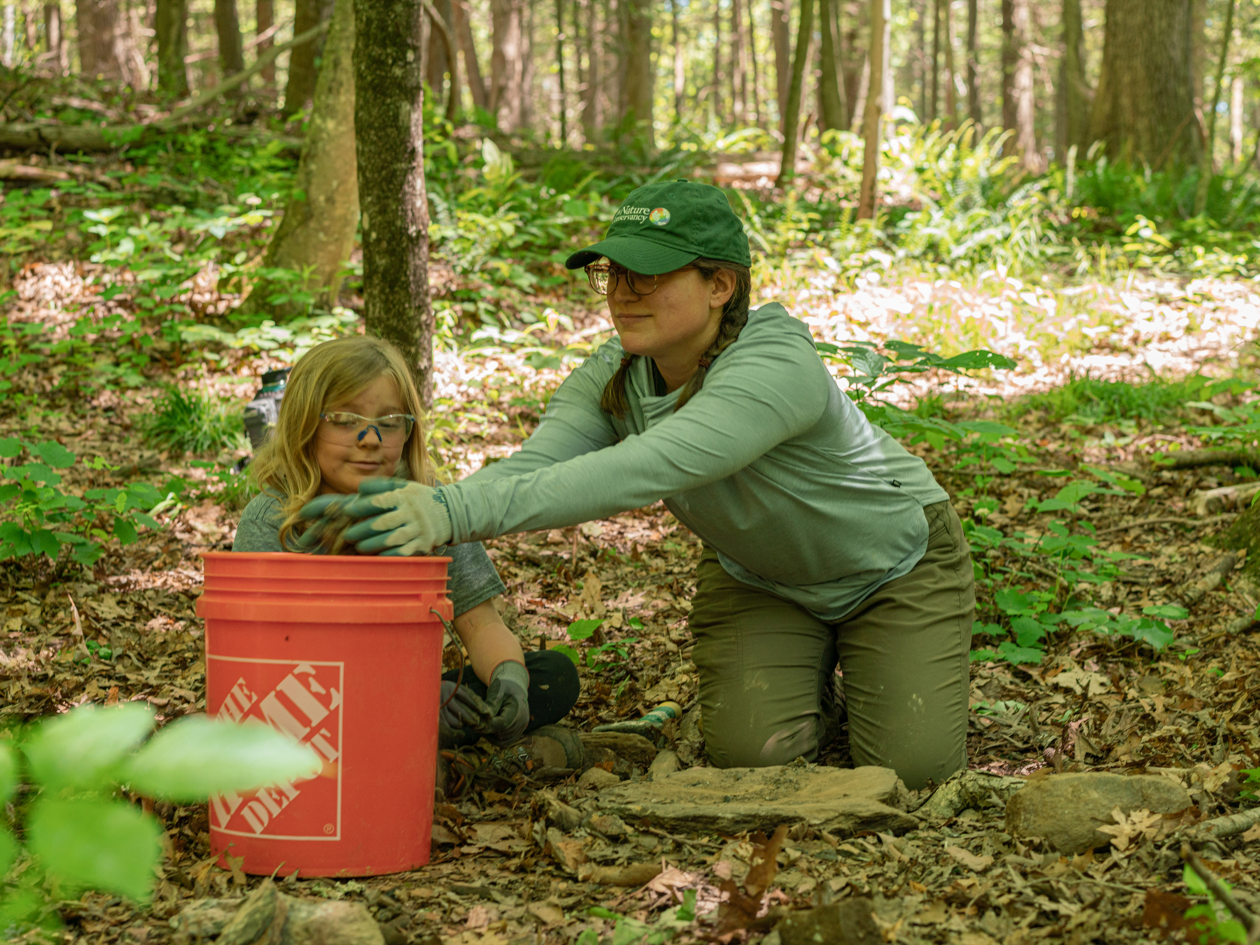 Tree Planting News 5