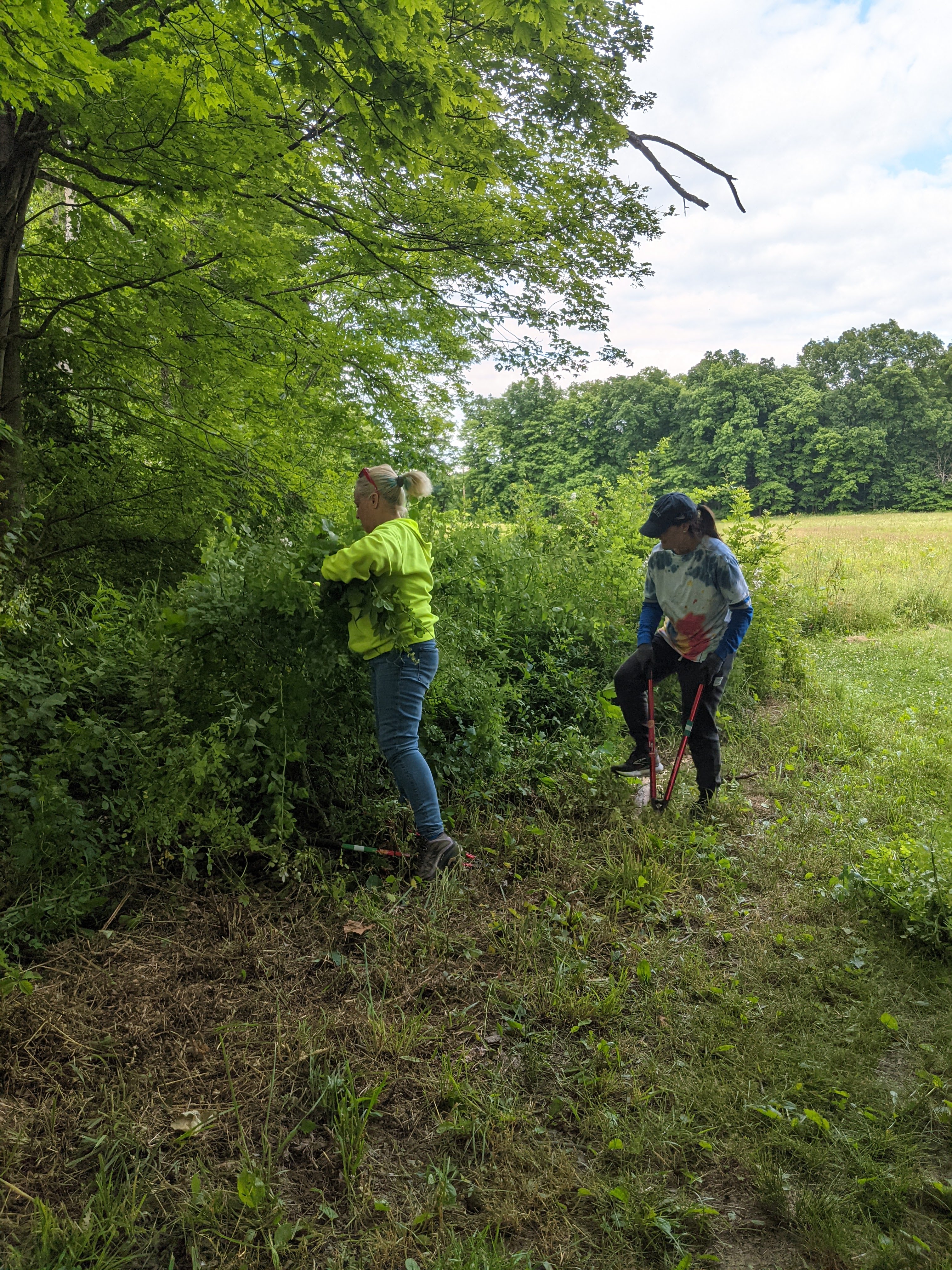 Geology Walk with Geo Beck News 3