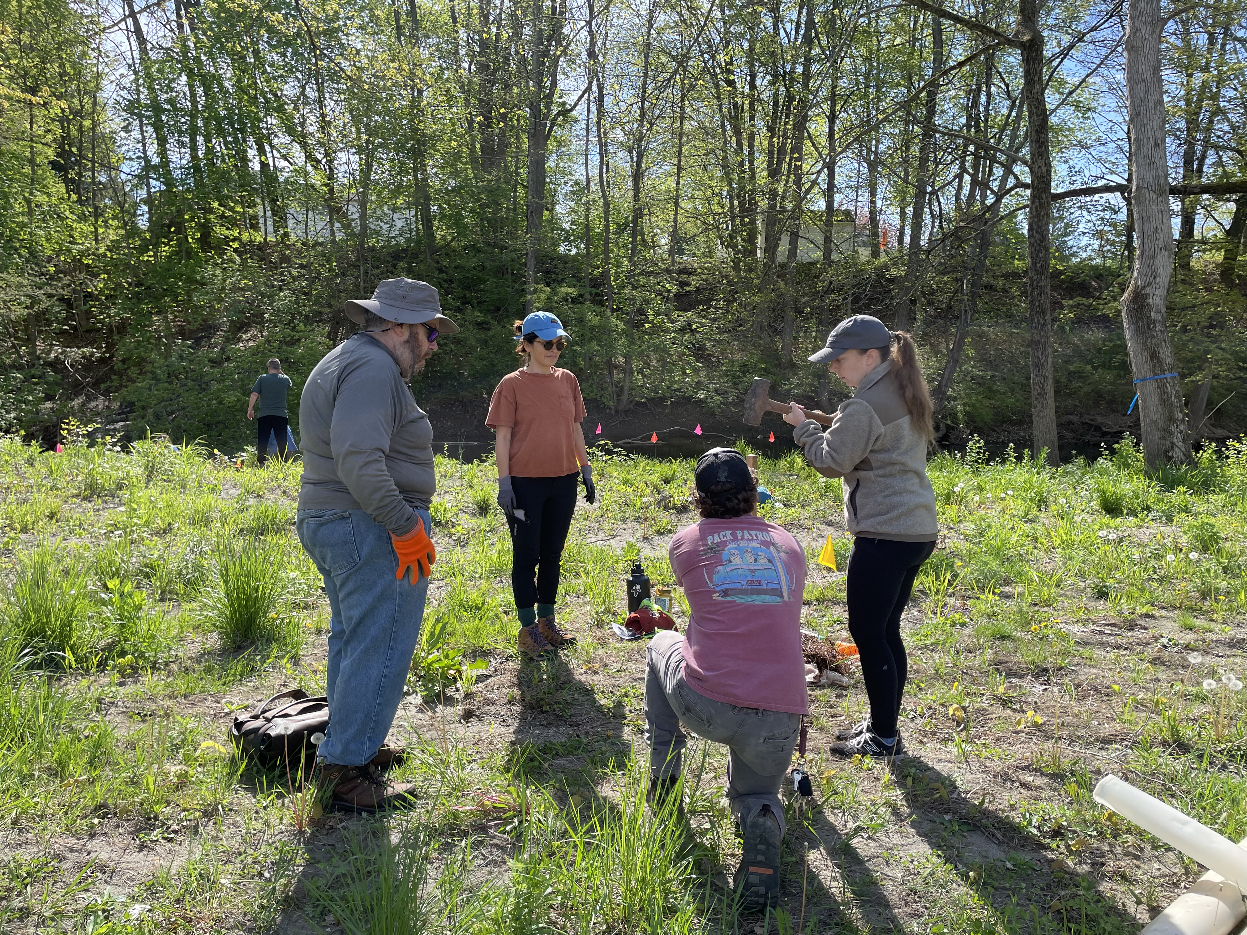 Tree Planting News 4